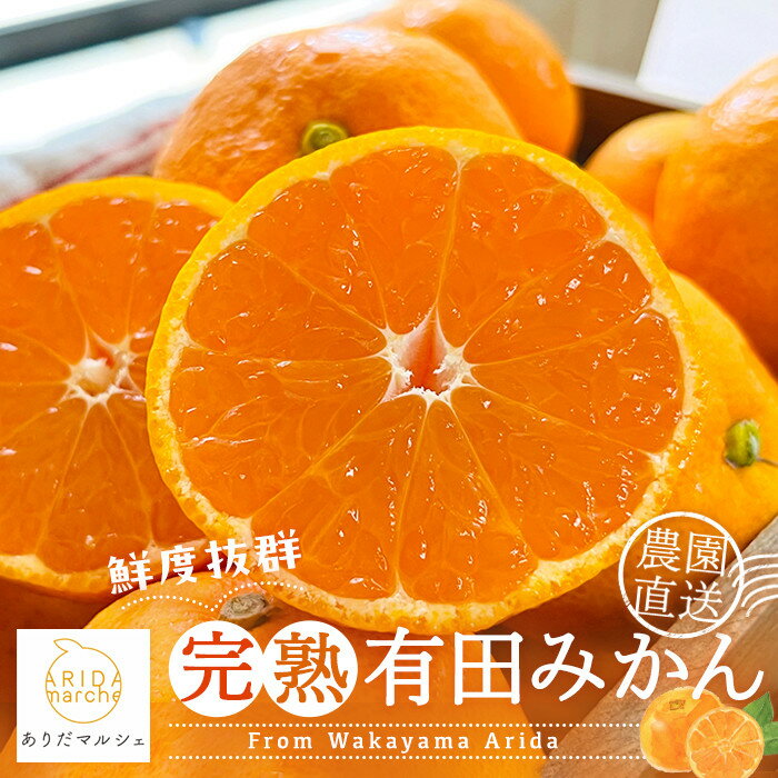 農家直送 完熟 有田みかん 約5kg［先行予約 2025年11月発送］［MS11-1］ | 有田みかん みかん ミカン 完熟 フルーツ 果物 くだもの 食品 人気 おすすめ 送料無料 農家直送