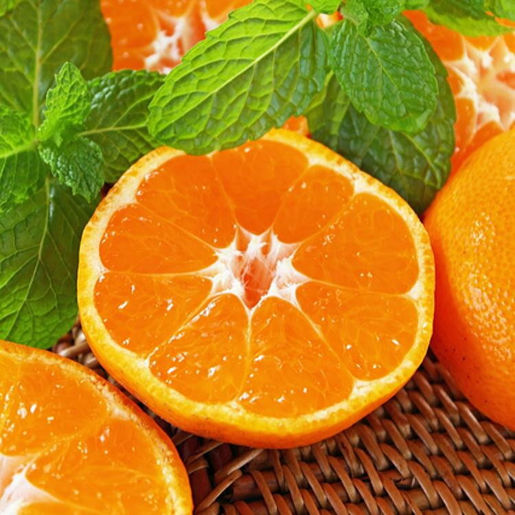 【ふるさと納税】農家直送 完熟 有田みかん 約2kg［先行予約 2025年12月発送 ］［MS12-2］ | 有田みかん みかん ミカン 完熟 フルーツ 果物 くだもの 食品 人気 おすすめ 送料無料 農家直送 サムネイル2