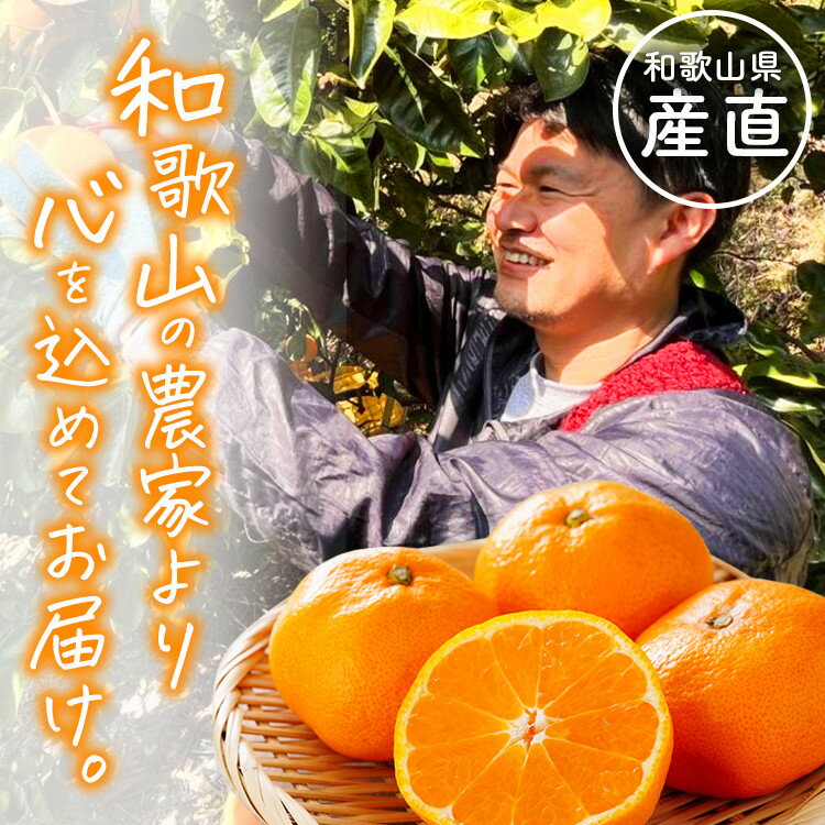 【ふるさと納税】［家庭用 訳あり］わかやま旬のカンキツ定期便[S] 全4回 3・5・9・11月発送［MS119］ | フルーツ 果物 くだもの 食品 人気 おすすめ 送料無料 サムネイル2