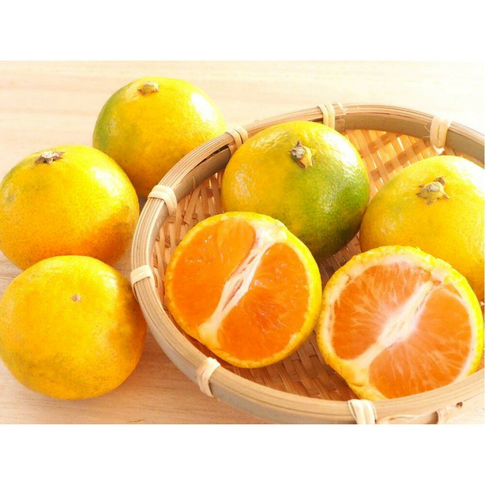 和歌山の農園直送！北村農園のゆら早生みかん5kg