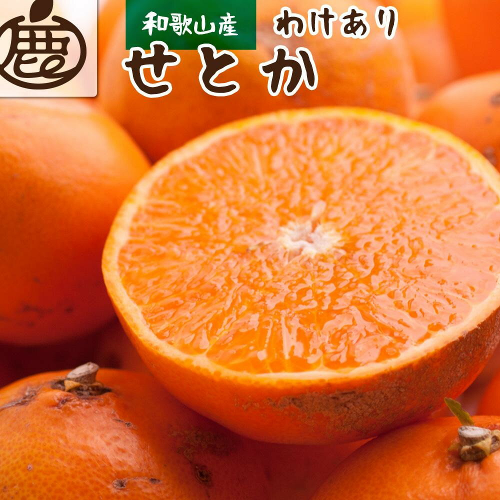 【選べる容量】［先行予約］家庭用 せとか1kg+250g（傷み補償分）［柑橘・春みかんの王様］［わけあり・訳あり］［光センサー選果・食べ頃出荷］［IKE118］ | フルーツ 果物 くだもの 食品 人気 おすすめ 送料無料