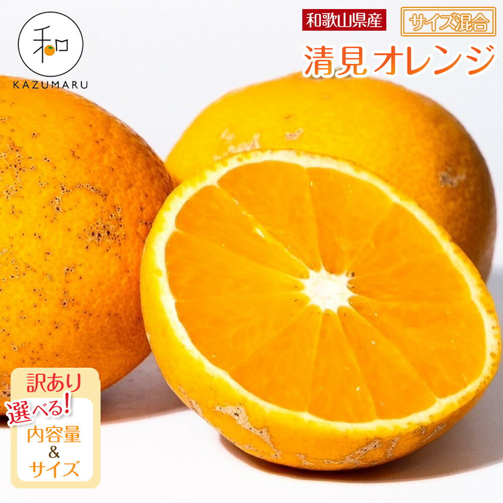 【選べる容量・サイズ】 先行予約 訳あり 森本農園の手選別 清見オレンジ2kg～10kg 和歌山県産 サイズ混合 ［北海道・沖縄・離島配送不可］ | みかん 蜜柑 フルーツ 果物 くだもの 食品 人気 おすすめ 送料無料