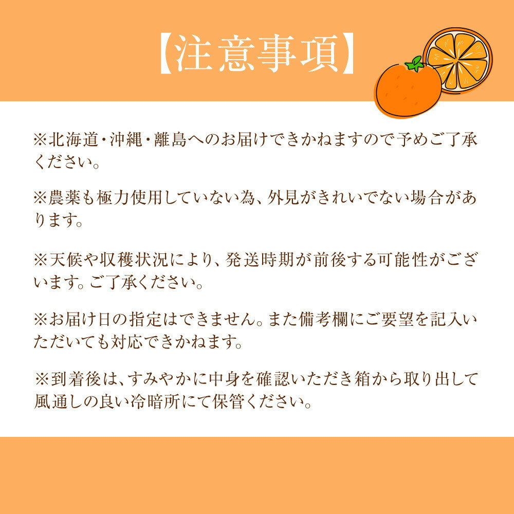 【ふるさと納税】【選べる容量】贈答用 森本農園の手選別 厳選セミノールオレンジ 約2～10kg 和歌山県産 サイズ混合 ［北海道・沖縄・離島配送不可］［2026年4月中旬から順次発送］ | みかん 蜜柑 フルーツ 果物 くだもの 食品 人気 おすすめ 送料無料 サムネイル3