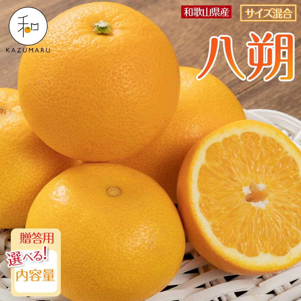 【選べる容量】贈答用 森本農園の手選別 八朔 約2～10kg 和歌山県産 サイズ混合 ［北海道・沖縄・離島配送不可］［2026年1月中旬から2月中旬頃順次発送予定］ | みかん 蜜柑 フルーツ 果物 くだもの 食品 人気 おすすめ 送料無料