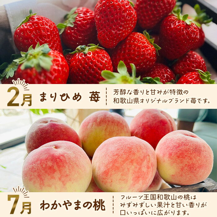 【ふるさと納税】わかやま旬のフルーツ定期便[L] 全4回 2～3・7・10・11～12月発送 家庭用［MS124］ | まりひめ 苺 いちご みかん 桃 もも 柿 フルーツ 果物 食品 人気 おすすめ 送料無料 定期便 サムネイル2