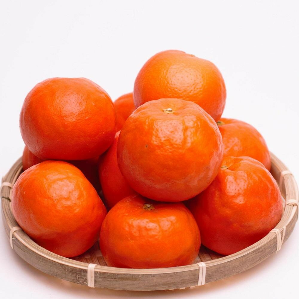 【ふるさと納税】【選べる容量】［先行予約］ 厳選 セミノールオレンジ 1～10kg+250g（傷み補償分）［春みかん］［有田産］［光センサー食べ頃出荷］ | フルーツ 果物 くだもの 食品 人気 おすすめ 送料無料 有田の春みかん サムネイル2