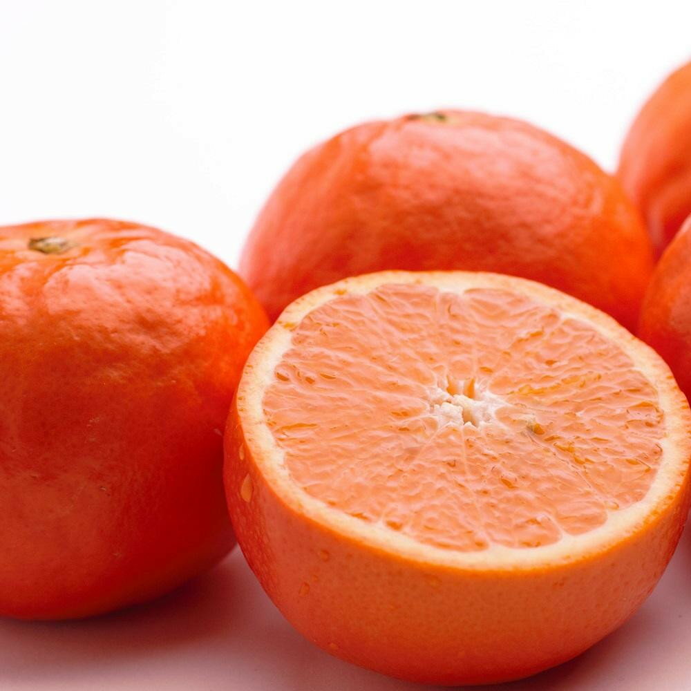 【ふるさと納税】【選べる容量】［先行予約］ 厳選 セミノールオレンジ 1～10kg+250g（傷み補償分）［春みかん］［有田産］［光センサー食べ頃出荷］ | フルーツ 果物 くだもの 食品 人気 おすすめ 送料無料 有田の春みかん サムネイル3