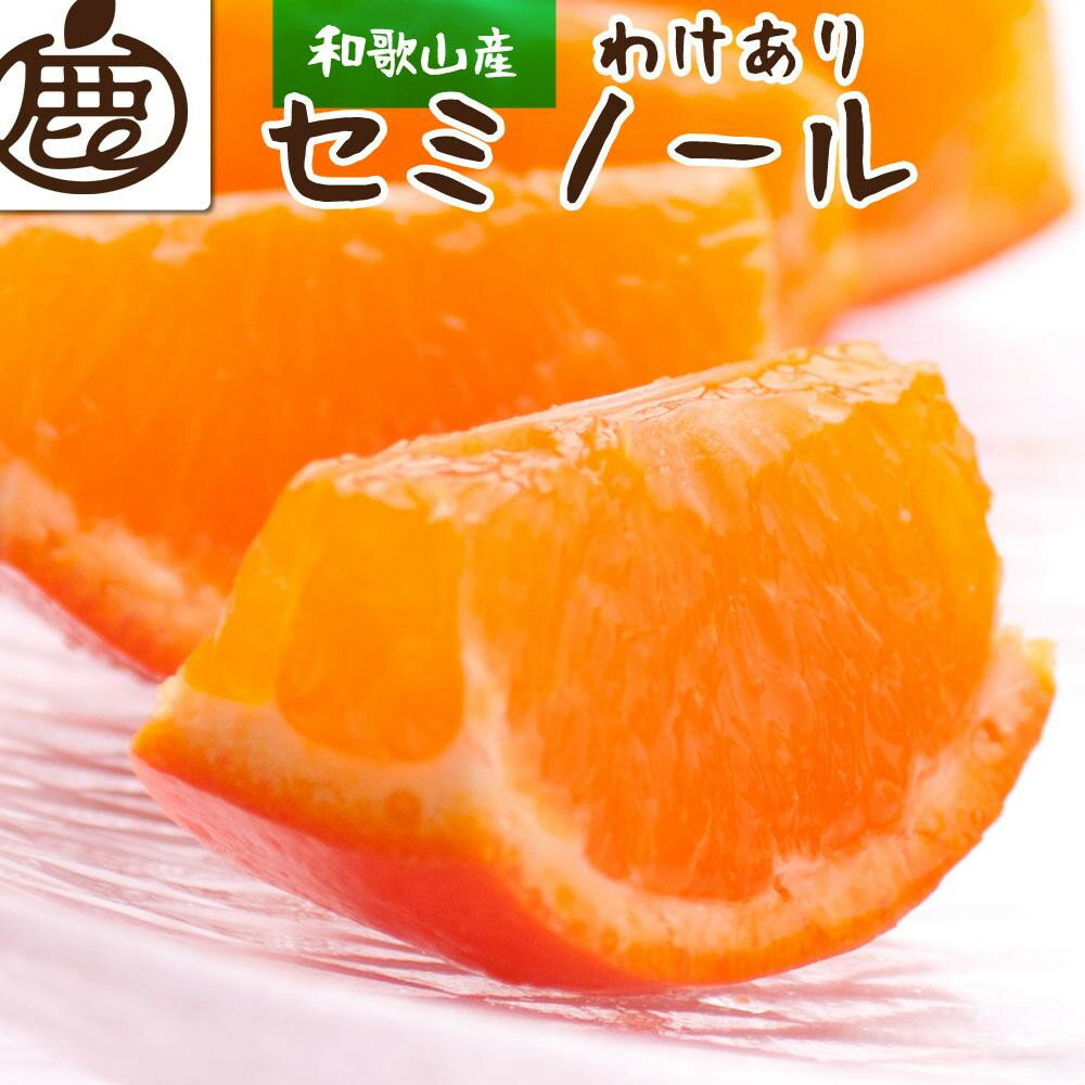 【選べる容量】［先行予約］ 家庭用 セミノール オレンジ 2.5～10kg+250g（傷み補償分）［春みかん］［訳あり］［光センサー食べ頃出荷］ | フルーツ 果物 くだもの 食品 人気 おすすめ 送料無料 有田の春みかん