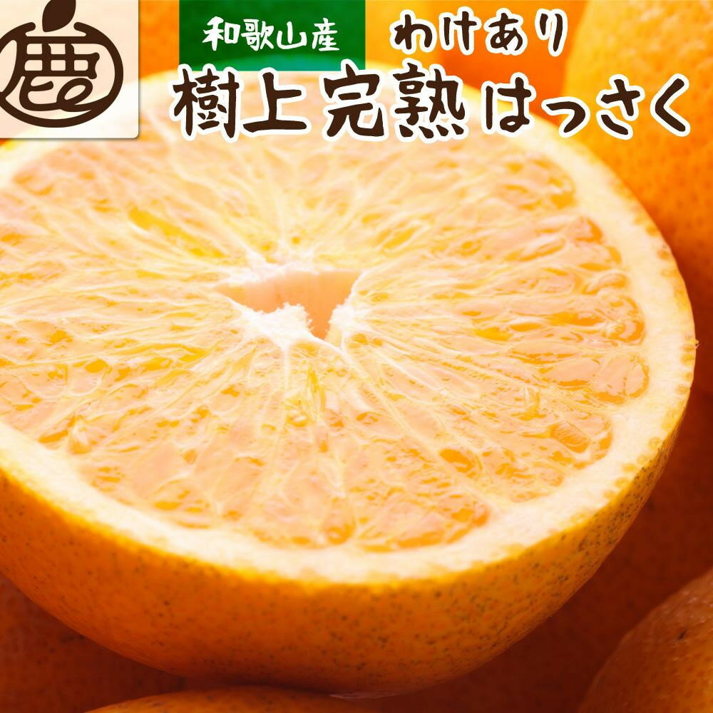 【選べる容量】［先行予約］ 家庭用 樹上完熟はっさく 2.5～10kg+250g（傷み補償分）［有田の春みかん・五月八朔・木生りはっさく］［光センサー選別］［訳あり・わけあり］ | フルーツ 果物 くだもの 食品 人気 おすすめ 送料無料