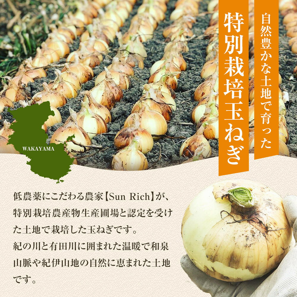 【ふるさと納税】［選べる容量］［2026年発送分・先行予約］訳あり 農家さん直送 低農薬玉ねぎ 4kg～10kg程度 S～2L混合［4月中旬～7月中旬頃発送予定］ご家庭用 ※傷有り | たまねぎ 低農薬 玉ねぎ 野菜 やさい 食品 人気 おすすめ 送料無料 - 画像2