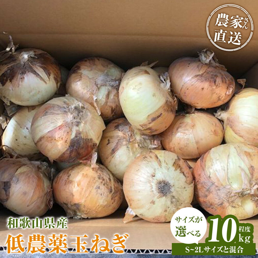 ［選べるサイズ］［2026年発送分・先行予約］農家さん直送 低農薬玉ねぎ S~2Lサイズ 10kg程度［4月中旬～7月中旬頃発送予定］ | たまねぎ 低農薬 玉ねぎ 野菜 やさい 食品 人気 おすすめ 送料無料