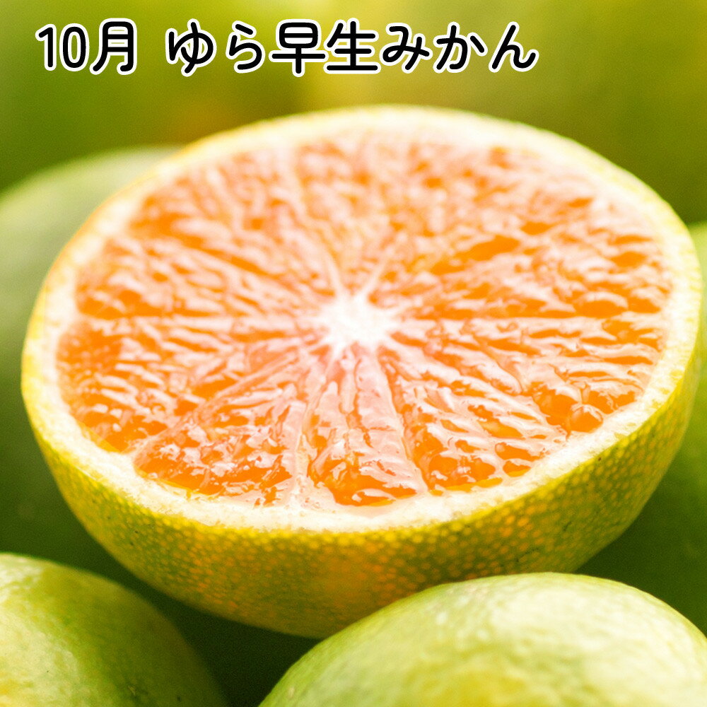 【ふるさと納税】厳選 柑橘定期便SS（10～12月）全3回【みかん定期便お試し版】［IKE284］ | フルーツ 果物食品 人気 おすすめ 送料無料 サムネイル3