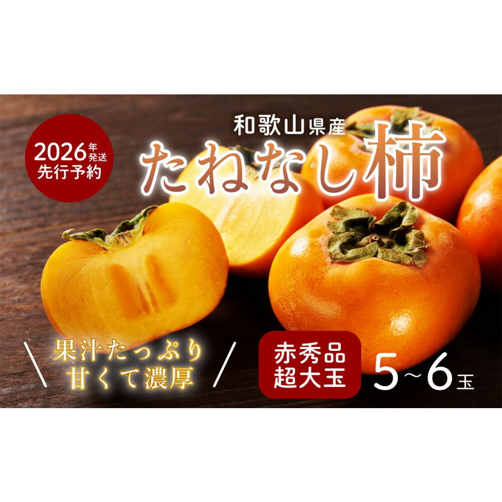 柿 種無し 赤秀品 超大玉 1.8kg 5～6個 ［先行予約］［2026年9月末頃から発送］［KG4］ | 柿 かき フルーツ 果物 くだもの 食品 人気 おすすめ 送料無料