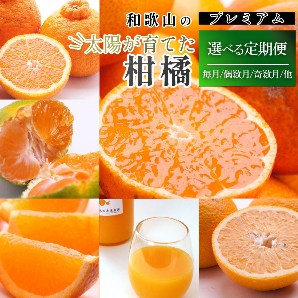 【選べる回数・容量】厳選 柑橘定期便 | フルーツ 果物食品 人気 おすすめ 送料無料