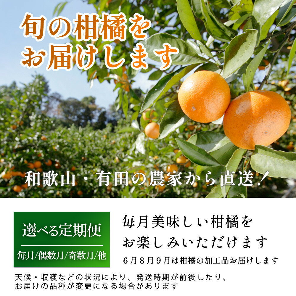 【ふるさと納税】【選べる回数・容量】厳選 柑橘定期便 | フルーツ 果物食品 人気 おすすめ 送料無料 サムネイル2