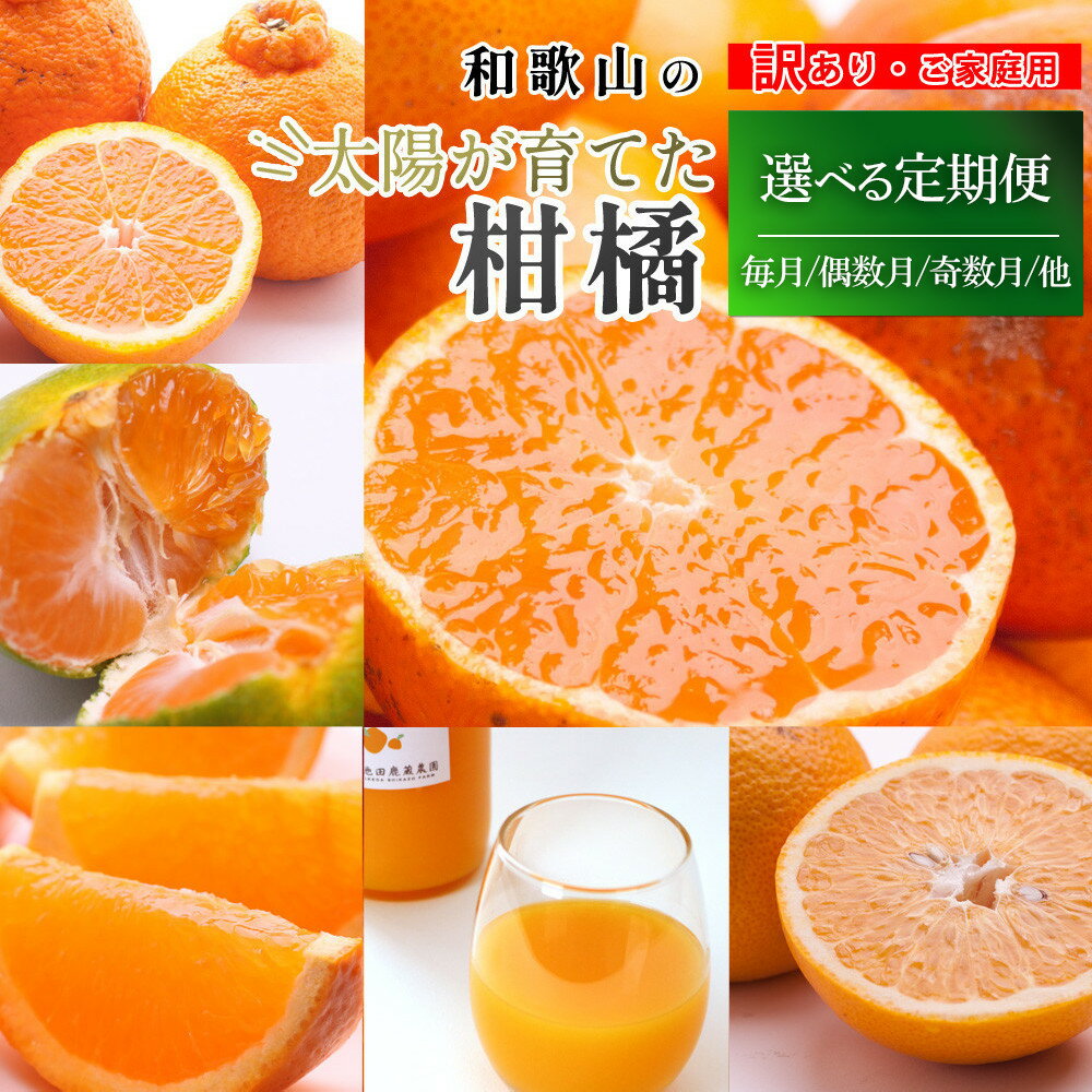 【選べる回数・容量】家庭用 柑橘定期便 | フルーツ 果物食品 人気 おすすめ 送料無料