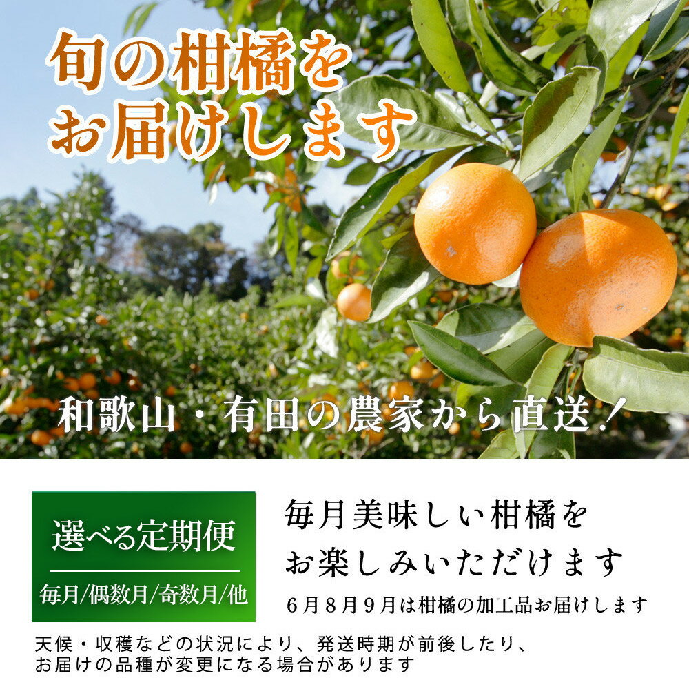 【ふるさと納税】【選べる回数・容量】家庭用 柑橘定期便 | フルーツ 果物食品 人気 おすすめ 送料無料 サムネイル2