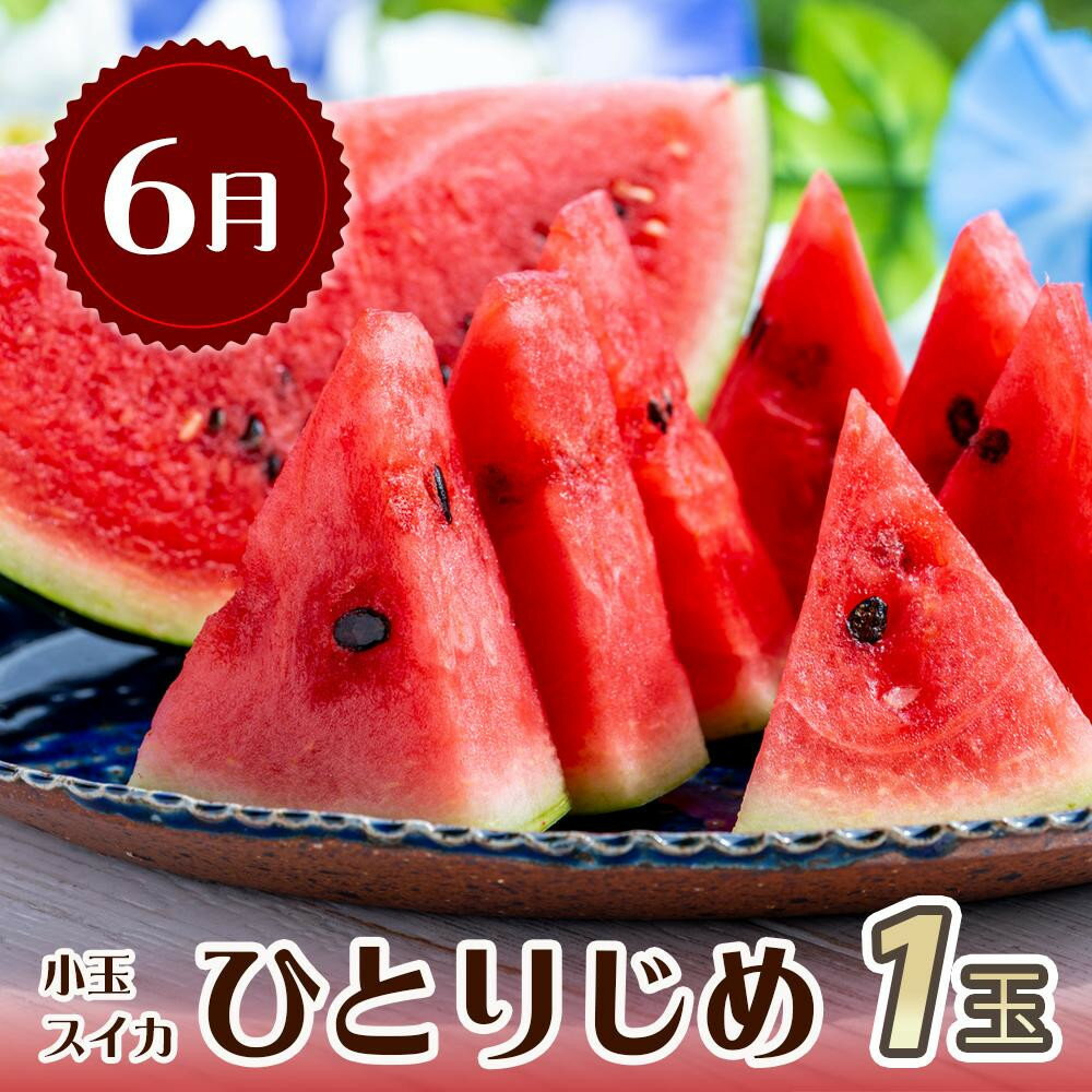 【ふるさと納税】【全3回 定期便】 紀州和歌山産旬のフルーツセット（6月：スイカ・7月：桃・8月：梨） ［UT138］ | 定期便 もも 梨 スイカ フルーツ 果物 くだもの 食品 人気 おすすめ 送料無料 サムネイル2