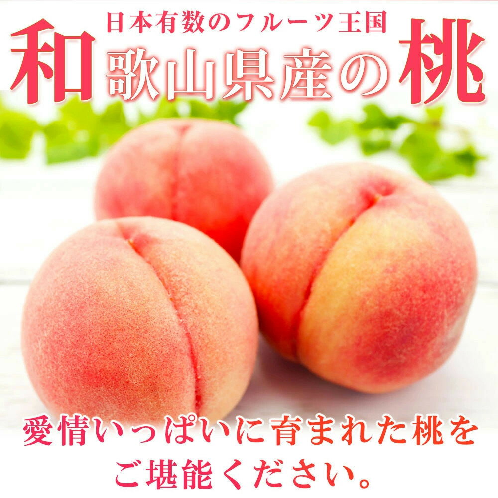 【ふるさと納税】【全2回 定期便】 紀州和歌山産旬のフルーツセット（7月：桃約1.8kg・8月：梨約2kg） ［UT140］ | 定期便 もも 梨 フルーツ 果物 くだもの 食品 人気 おすすめ 送料無料 サムネイル2