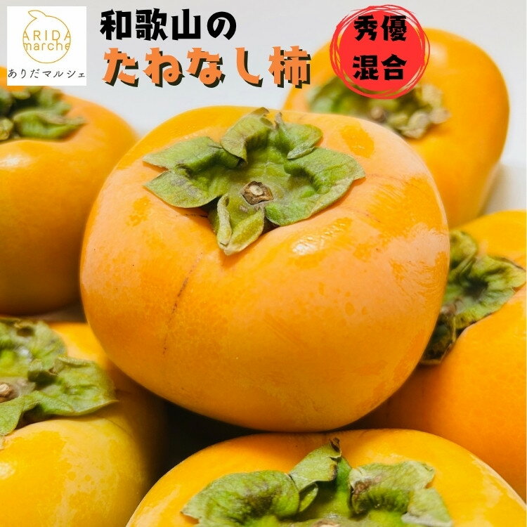 《先行受付・2026年10月～発送》和歌山のたねなし柿 約2kg ［MS131］ | 柿 フルーツ 果物 くだもの 食品 人気 おすすめ 送料無料