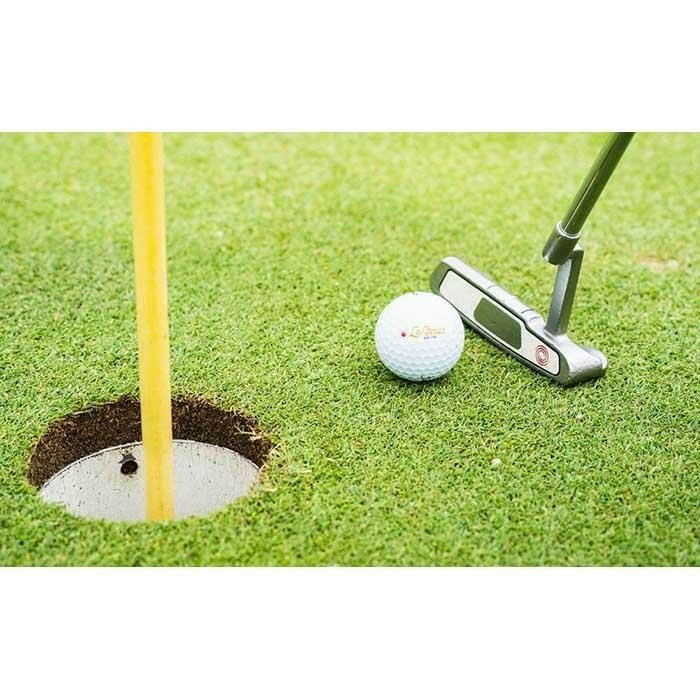 【ふるさと納税】【選べる】ラ・グレースゴルフ倶楽部　プレー割引券　3,000円/9,000円/15,000円 | 和歌山県 印南町 和歌山 返礼品 支援 楽天ふるさと 納税 ゴルフ ゴルフプレー スポーツ チケット 割引 券 ゴルフプレー券 ゴルフ券 プレー券 ゴルフ場 ゴルフコース 割引券 - 画像3