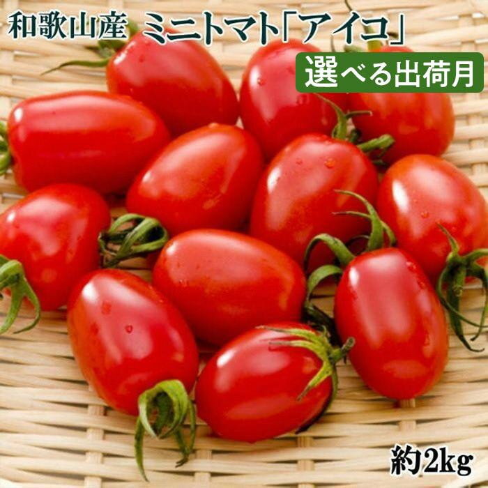 ［選べる発送時期］和歌山産ミニトマト「アイコトマト」約2kg（S・Mサイズおまかせ） | 和歌山県 印南町 和歌山 返礼品 支援 楽天ふるさと 納税 お取り寄せグルメ 取り寄せ トマト ミニトマト アイコ 新鮮野菜 野菜