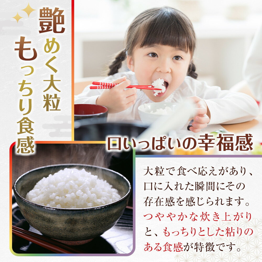 【ふるさと納税】米 にじのきらめき 和歌山県産 10kg（5kg×2）（2025年産）［SL15］ | お米 こめ 白米 食品 人気 おすすめ 送料無料 - 画像3