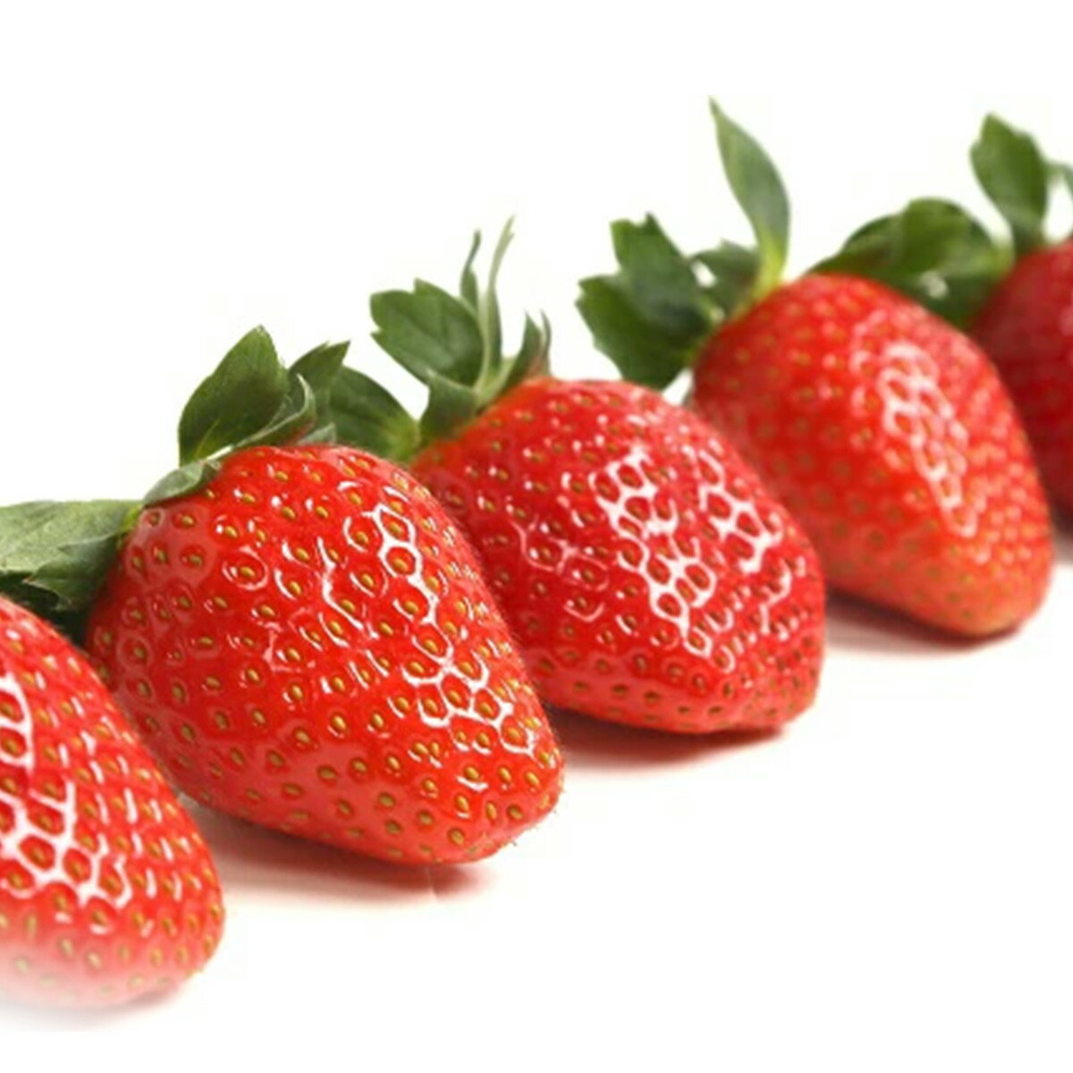 【ふるさと納税】いちご(まりひめ) 約270g×4パック / 苺 イチゴ 甘い あまい 朝摘み 朝採れ 新鮮 果物 フルーツ 旬 和歌山県オリジナル品種 サムネイル3