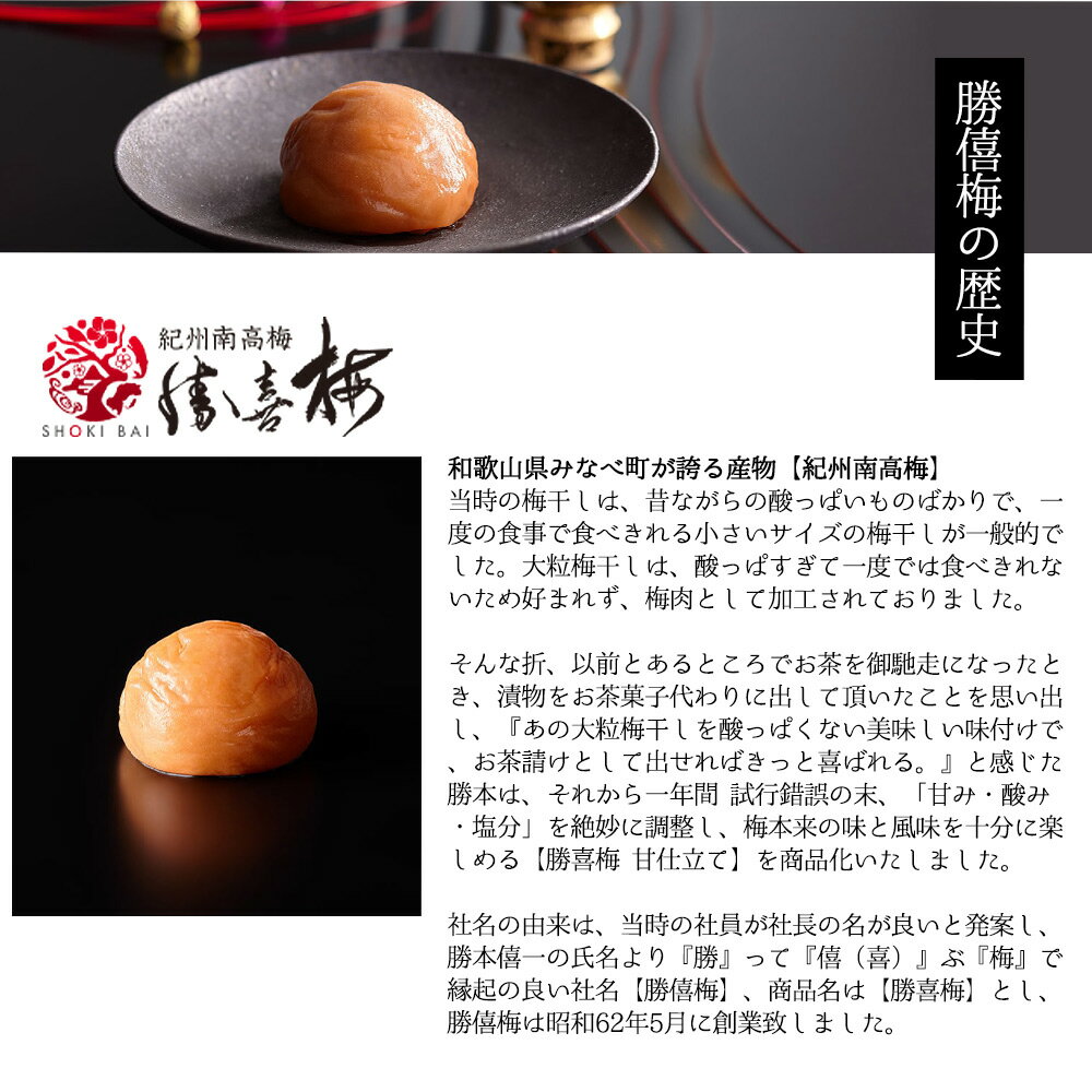 【ふるさと納税】本格梅酒　勝僖梅　SHOKIBAI（箱なし） | 和歌山 みなべ町 梅酒 うめ サムネイル3