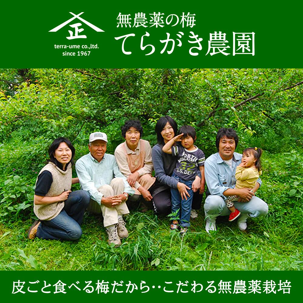 【ふるさと納税】農薬を使用していない南高梅 | 南高梅 紀州南高梅 無農薬 冷凍 梅の実 うめ 和歌山 サムネイル2