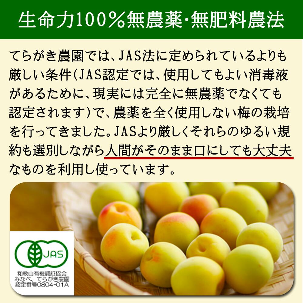 【ふるさと納税】農薬を使用していない南高梅 | 南高梅 紀州南高梅 無農薬 冷凍 梅の実 うめ 和歌山 サムネイル3