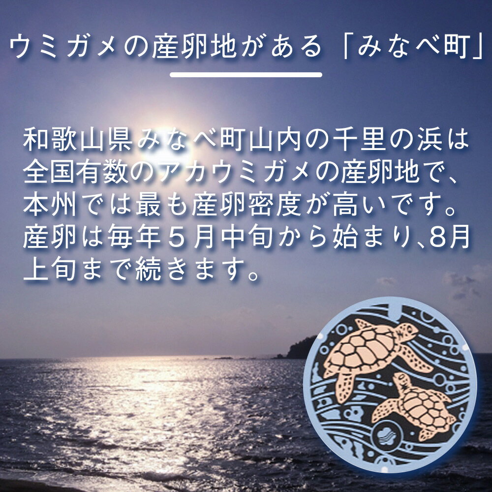 【ふるさと納税】みなべ町 マンホール Tシャツ | 2色 ホワイト ブラック 白 黒 S M L XL コットン 100% ご当地マンホール 和歌山県 サムネイル2