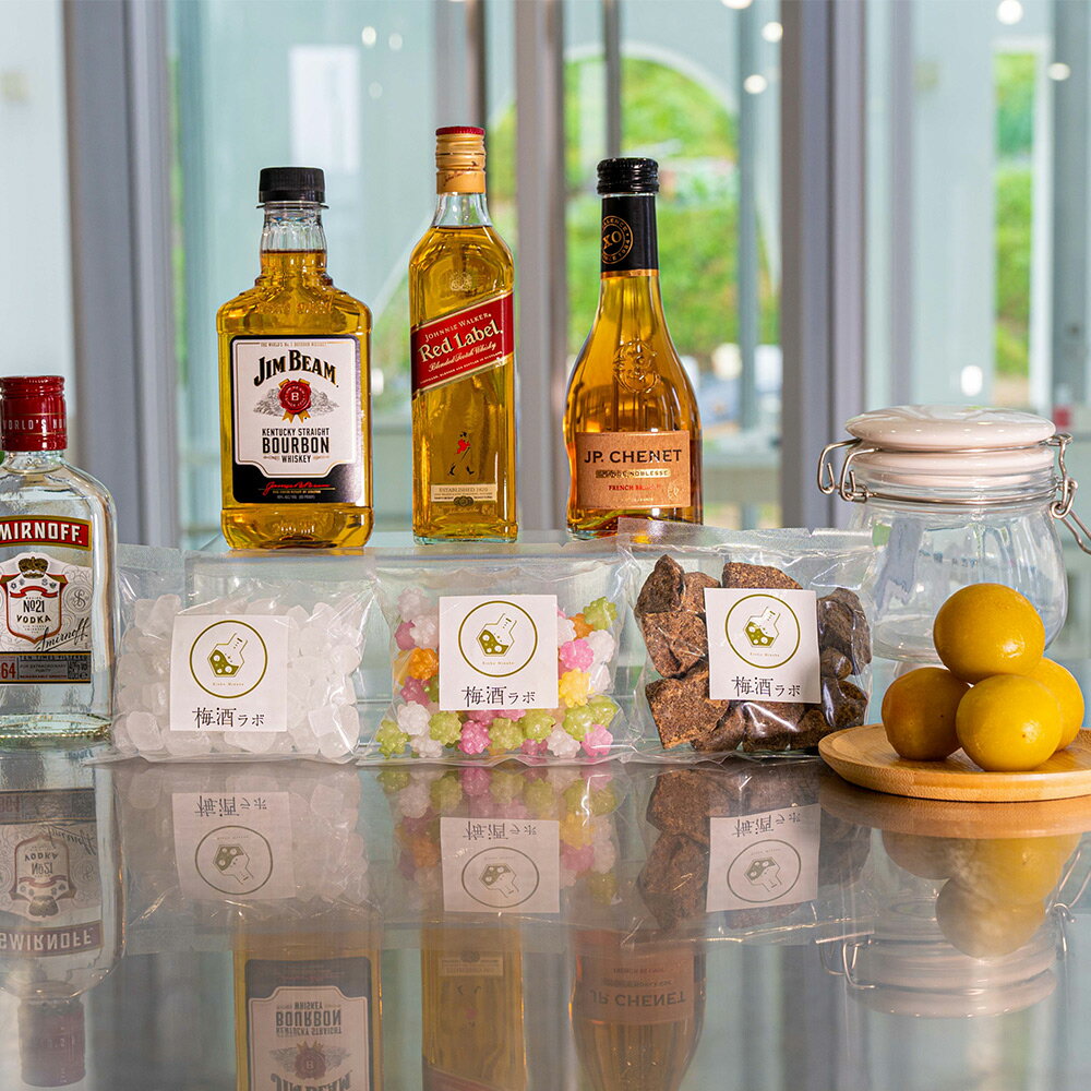 【ふるさと納税】梅酒作成ミニキット（ブランデーベース） 200nl | 最高級紀州南高梅 南高梅 和歌山 紀州 ブランデー梅酒 クラフト梅酒 梅 うめ サムネイル2