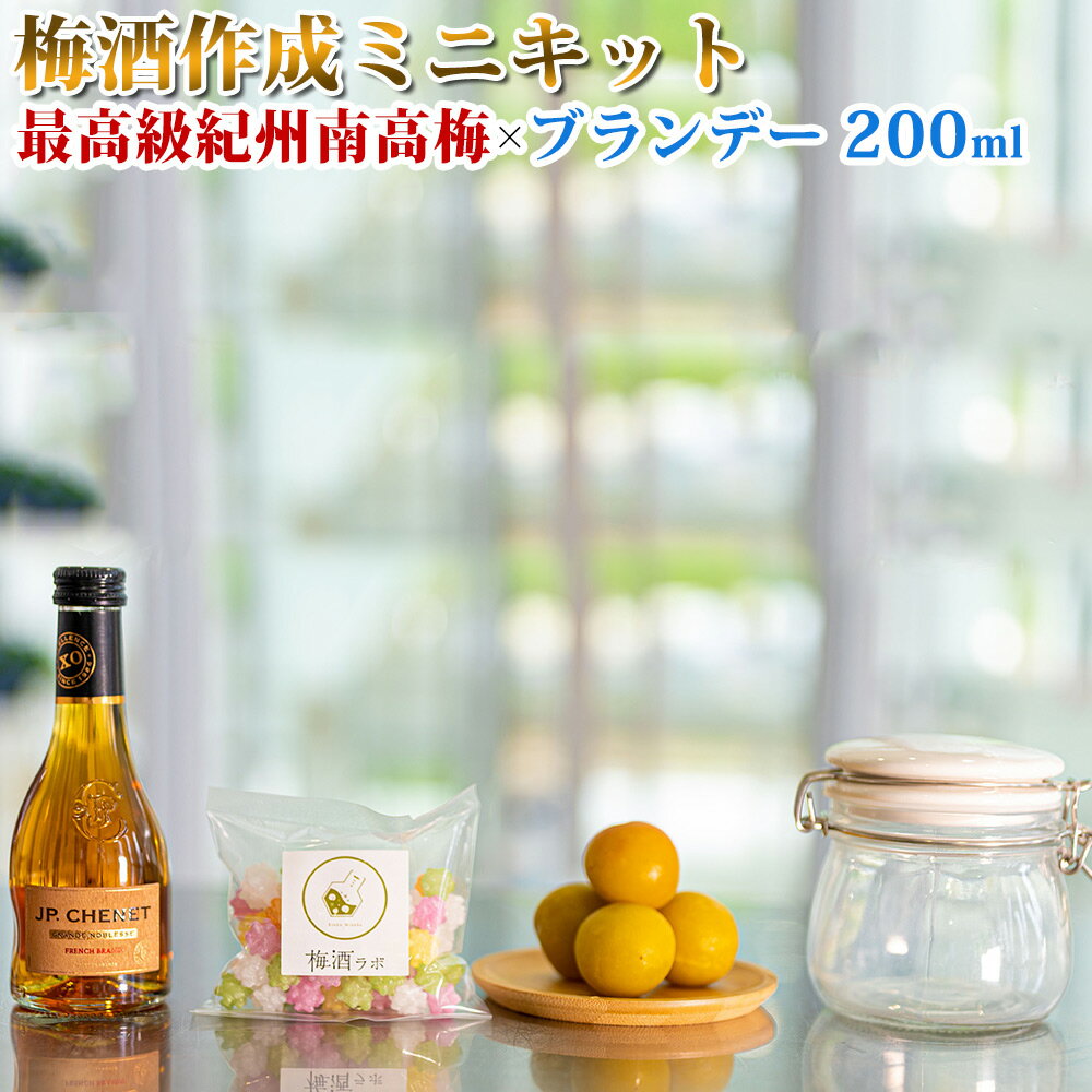 梅酒作成ミニキット（ブランデーベース） 200nl | 最高級紀州南高梅 南高梅 和歌山 紀州 ブランデー梅酒 クラフト梅酒 梅 うめ