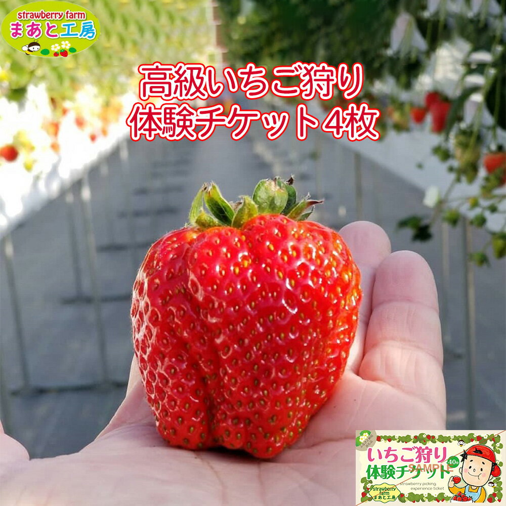 いちご狩り体験ファミリーチケット | いちご いちご狩り 体験チケット 和歌山