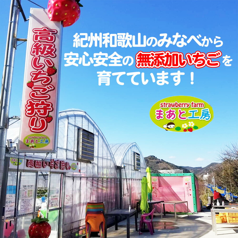 【ふるさと納税】いちご狩り体験ファミリーチケット | いちご いちご狩り 体験チケット 和歌山 - 画像2