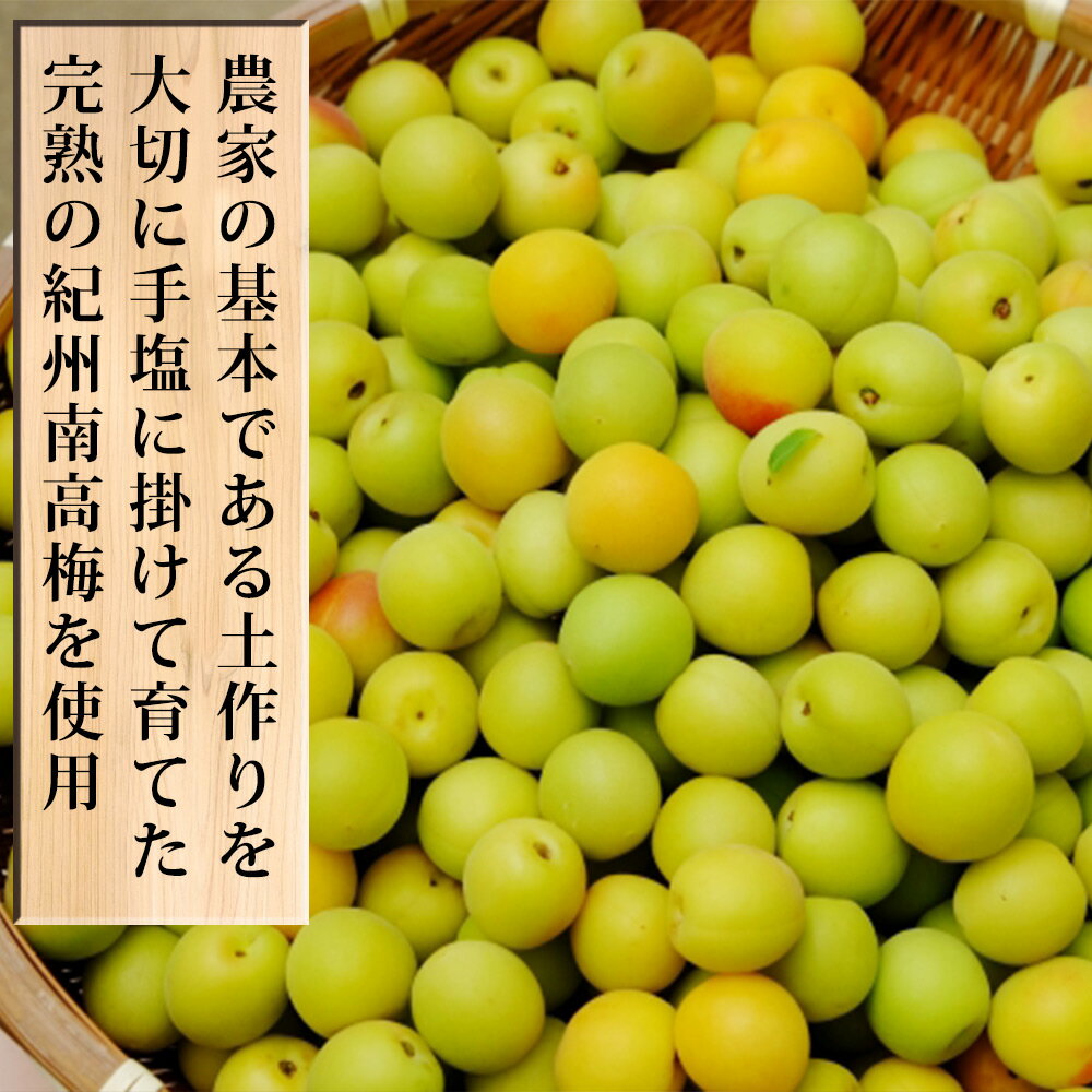 【ふるさと納税】紀州本格梅酒　森川〜MORIKAWA〜 720ml 12度 | 紀州 和歌山 みなべ町 梅酒 サムネイル2