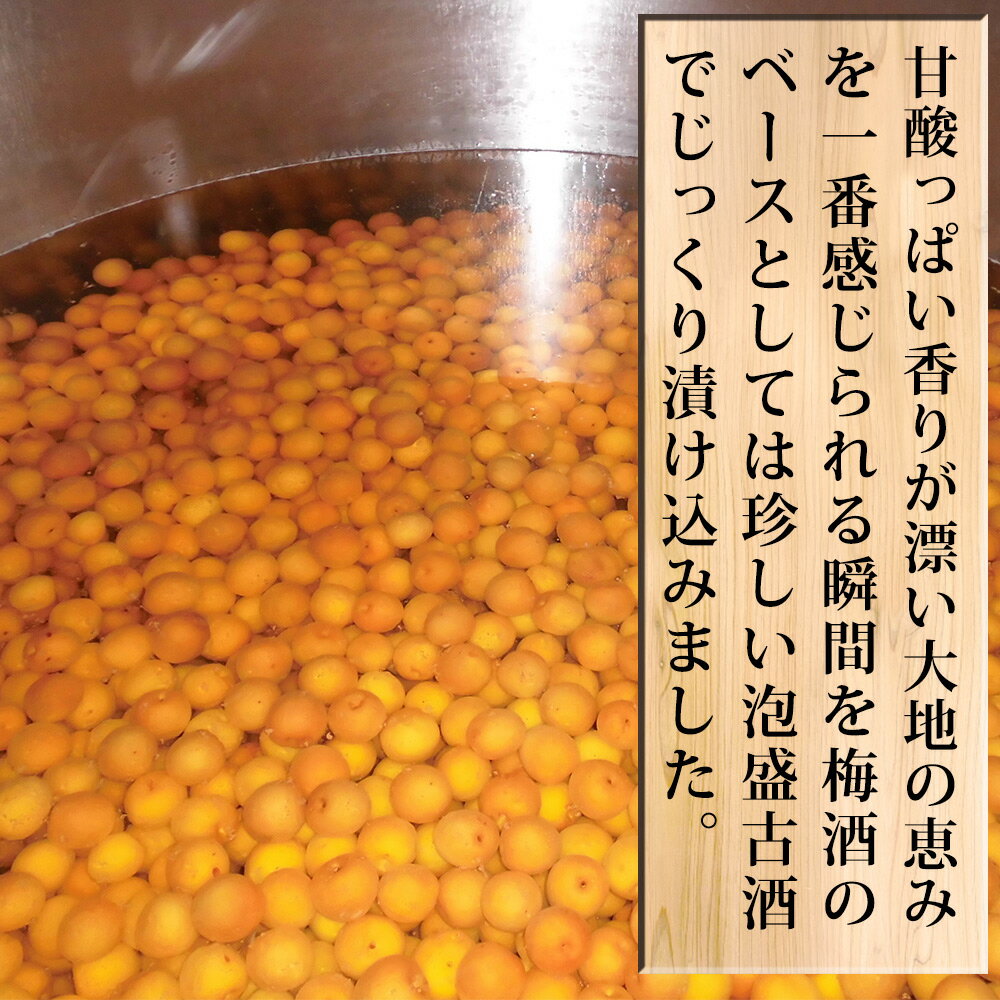 【ふるさと納税】紀州本格梅酒　森川〜MORIKAWA〜 720ml 12度 | 紀州 和歌山 みなべ町 梅酒 サムネイル3