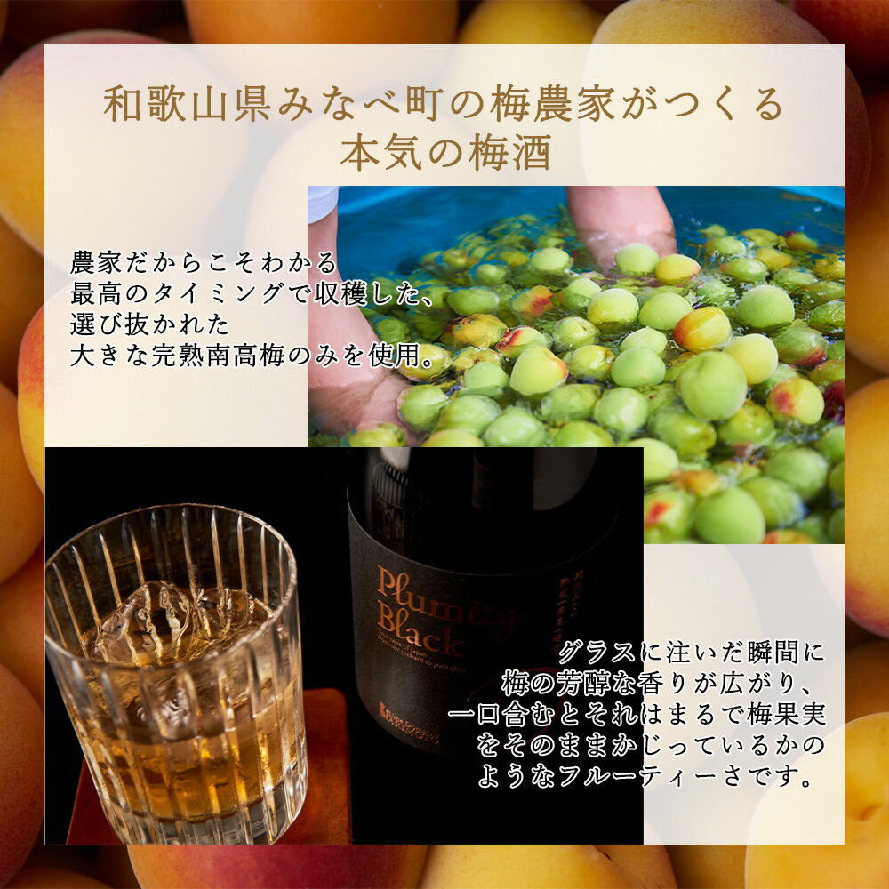 【ふるさと納税】熟成南高梅酒「Plumity Black」 | 梅酒 お酒 紀州 南高梅 和歌山 みなべ町 サムネイル3