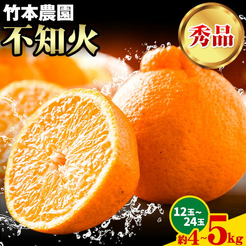 秀品不知火（デコポンと同品種）12玉〜24玉 約4kg〜5kg《2026年3月中旬-5月上旬頃出荷》竹本農園 和歌山県 日高川町 旬 新鮮 果物 柑橘 フルーツ 国産 送料無料 デコポン でこぽん 不知火 しらぬい シラヌイ ミカン みかん
