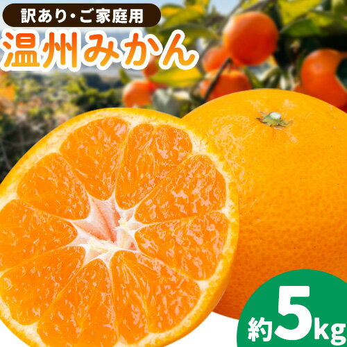 ご家庭用 温州みかん(入野みかん) 約5kg《2025年11月下旬-2月上旬頃出荷》竹本農園 和歌山県 日高川町 旬 新鮮 果物 柑橘 フルーツ 国産 送料無料 ミカン みかん