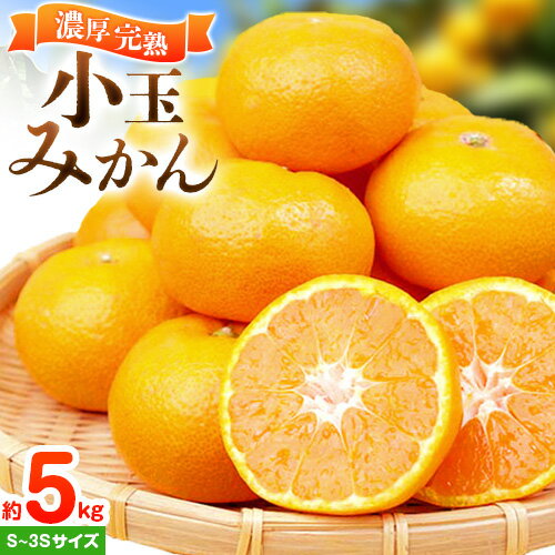 【先行予約】みかん 紀州有田産 濃厚完熟 小玉みかん 約5kg S〜3Sサイズ 株式会社魚鶴《2026年11月下旬-12月下旬頃出荷》 和歌山県 日高川町 みかん 小玉みかん 完熟 濃厚 柑橘 小玉 小さい