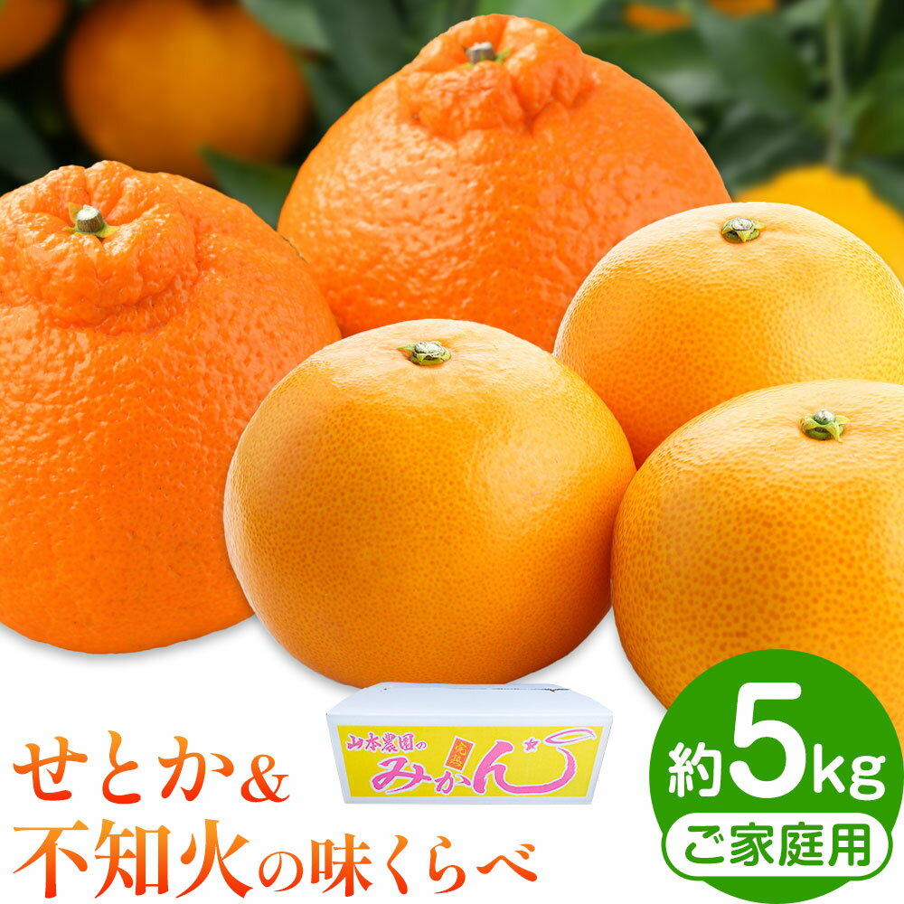 せとか & 不知火 の 味くらべ 約5kg 家庭用 山本農園《3月上旬-4月中旬頃出荷》和歌山県 日高川町 柑橘 フルーツ 果物 みかん しらぬい デコポン と同品種 でこぽん 完熟 ご家庭用 食べ比べ