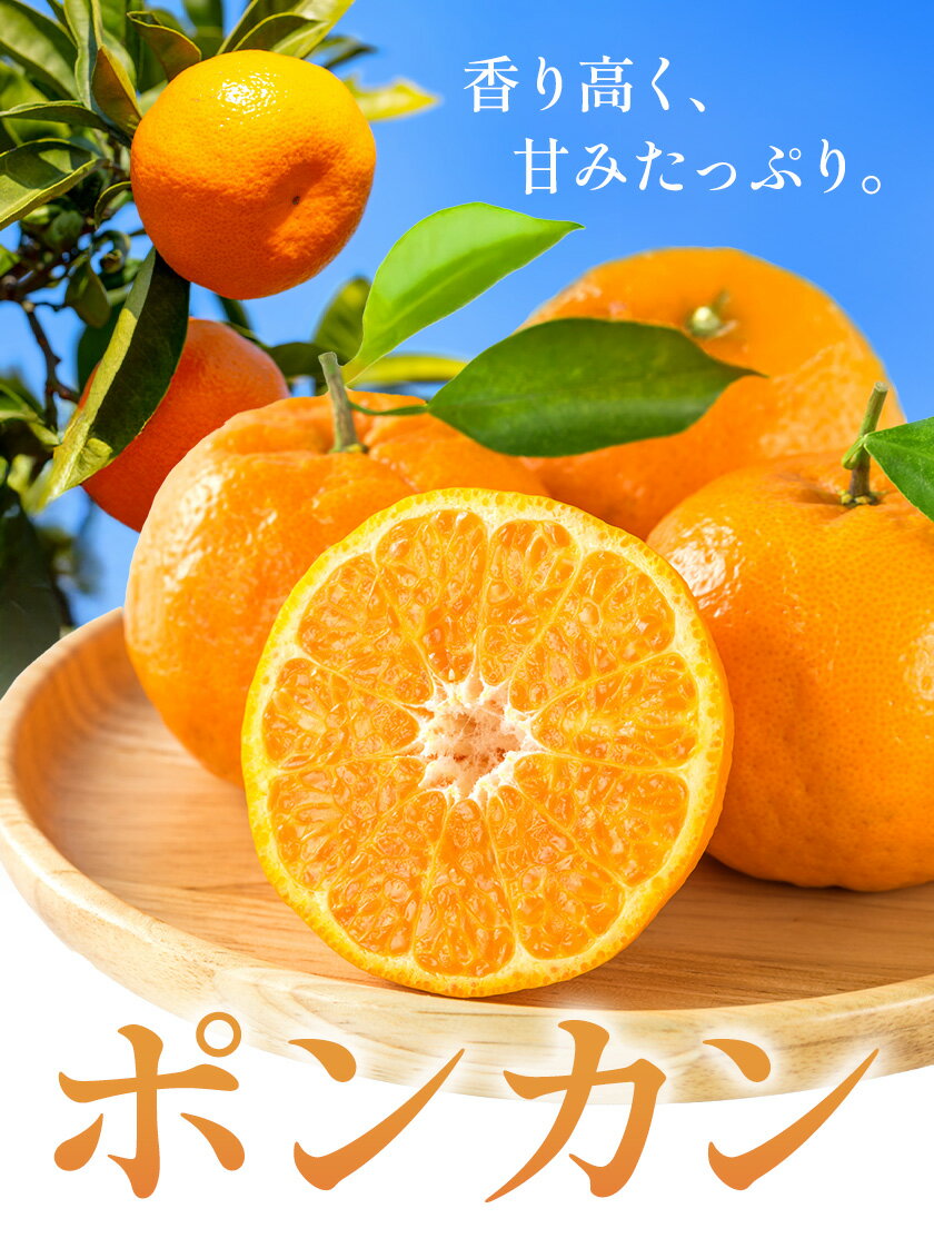 【ふるさと納税】 和歌山県産 ポンカン 選べる 5kg 7.5kg 10kg 中畑農園《1月下旬-2月末頃出荷》 和歌山県 日高川町 みかん ミカン 蜜柑 椪柑 フルーツ 果物 柑橘 送料無料 サムネイル2