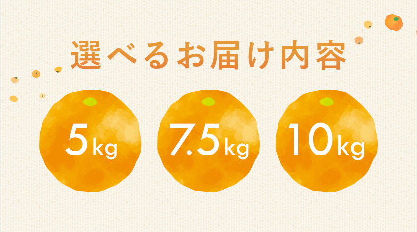 【ふるさと納税】 和歌山県産 ポンカン 選べる 5kg 7.5kg 10kg 中畑農園《1月下旬-2月末頃出荷》 和歌山県 日高川町 みかん ミカン 蜜柑 椪柑 フルーツ 果物 柑橘 送料無料 サムネイル3