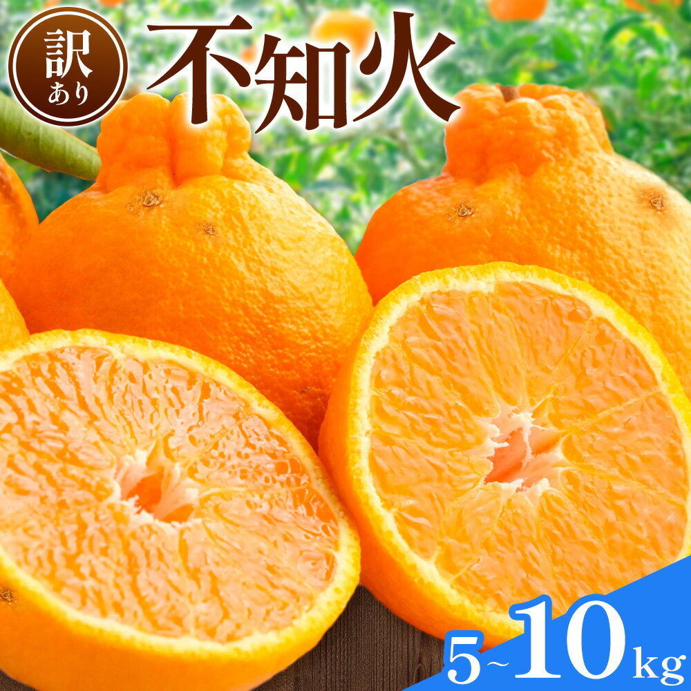不知火 訳あり 選べる 5kg 10kg 中畑農園《1月下旬-2月末頃出荷》 和歌山県 日高川町 不知火 みかん ミカン 蜜柑 椪柑 フルーツ 果物 柑橘