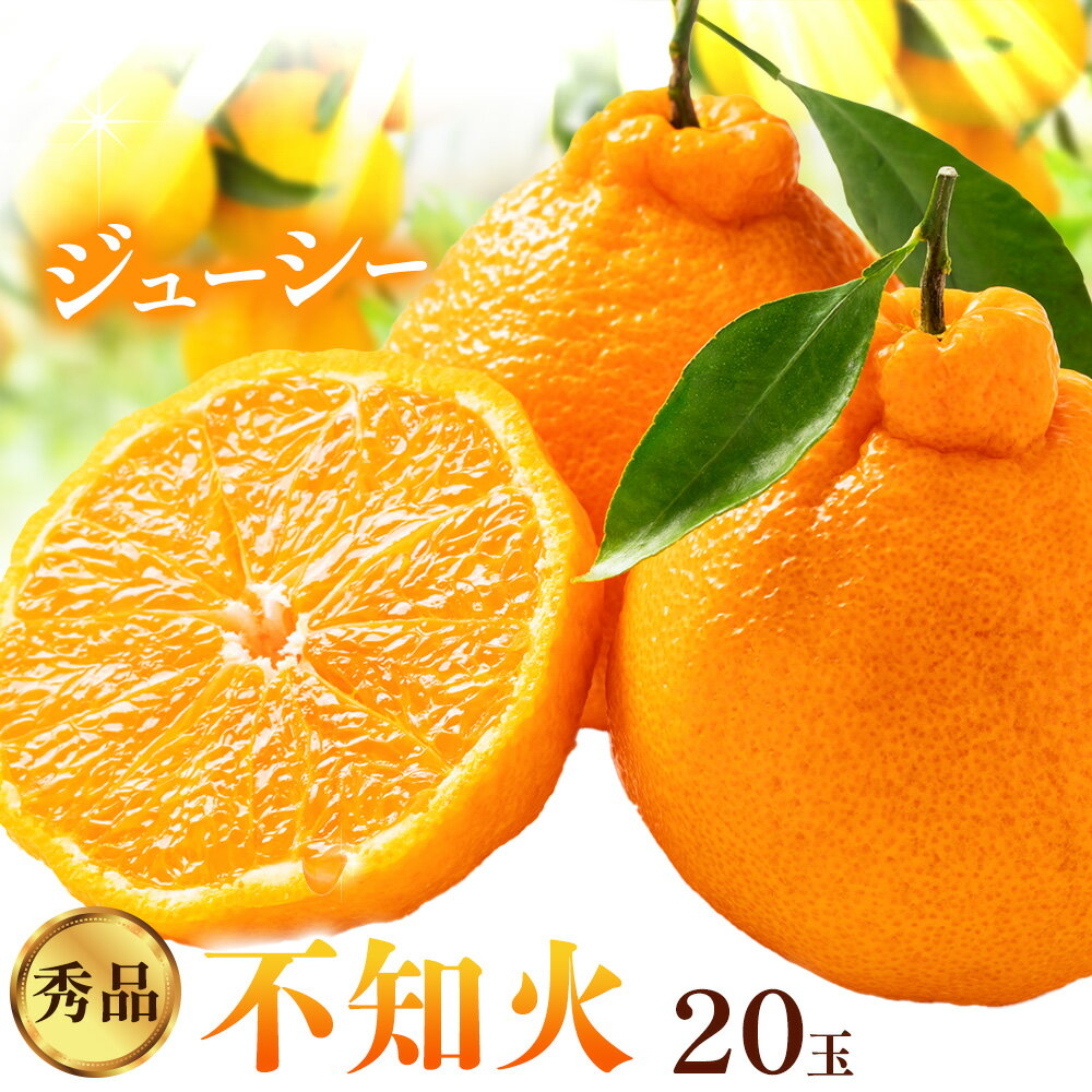 柑橘 秀品 不知火 ( デコポン ) と同品種 約2kg（ 20玉 ） 垣内農園 《2月上旬-2月下旬頃出荷》和歌山県 日高川町 果物 フルーツ しらぬい デコポン と同品種