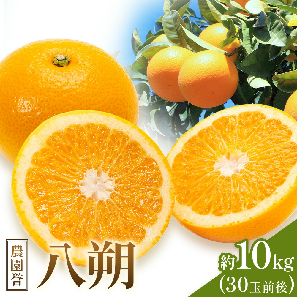 八朔 約10kg (約30玉前後) 農園誉《2026年3月上旬-3月下旬頃出荷》 和歌山県 日高川町 はっさく みかん ミカン フルーツ 果物 柑橘
