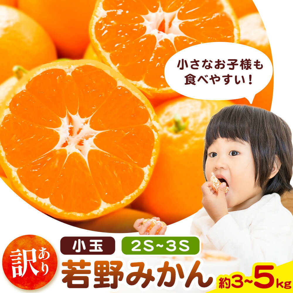 和歌山県産 訳あり 小玉若野みかん (2S-3Sサイズ) みかん 小玉 選べる内容量 約3kg 約5kg《11月下旬-12月下旬頃出荷》　マルエイ農園 和歌山県 日高川町 果物 フルーツ 訳ありみかん 家庭用 みかん 3kg 5kg みかん