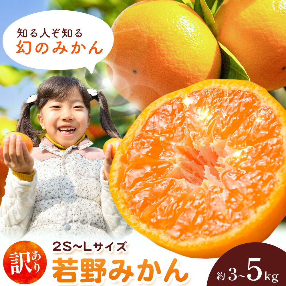 和歌山県産 訳あり 若野みかん (2S～Lサイズ) みかん 選べる内容量 約3kg 約5kg《11月下旬-12月下旬頃出荷》　マルエイ農園 和歌山県 日高川町 果物 フルーツ 訳ありみかん 家庭用 みかん 3kg 5kg みかん